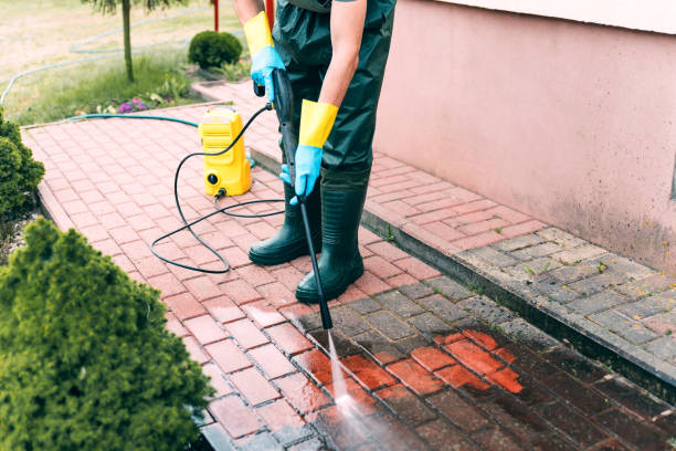 Best Deck Cleaning Services  in Cut Off, LA