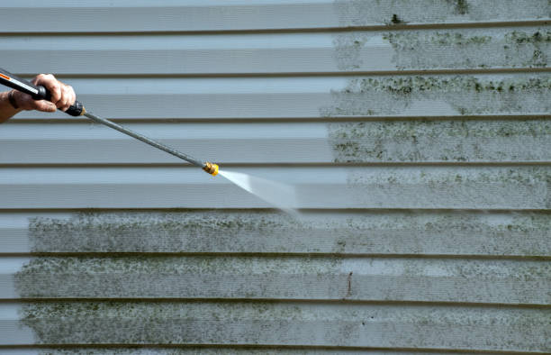 Best Residential Pressure Washing Services  in Cut Off, LA