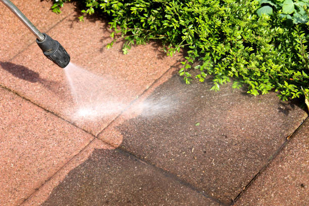 Best Local Pressure Washing Services  in Cut Off, LA